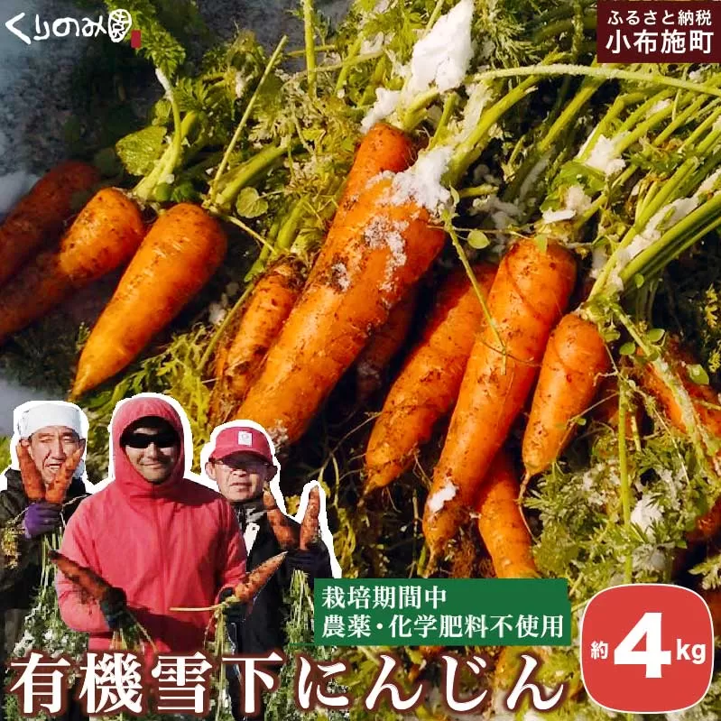 有機雪下にんじん 約4kg 栽培期間中農薬・化学肥料不使用 ［くりのみ園］ 人参 ニンジン 野菜 やさい 長野県産 信州産 【2025年1月～3月発送】