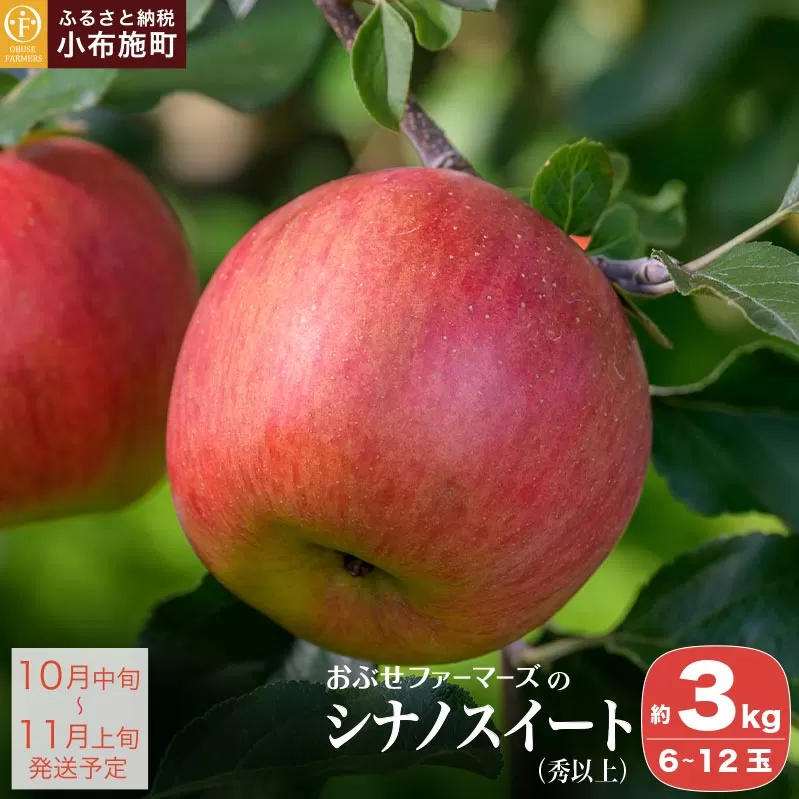 シナノスイート 秀以上 約3kg 6〜12玉［おぶせファーマーズ］ りんご 林檎 リンゴ 果物 フルーツ 長野 信州 先行予約 数量限定 令和7年産 【2025年10月中旬〜11月上旬発送】