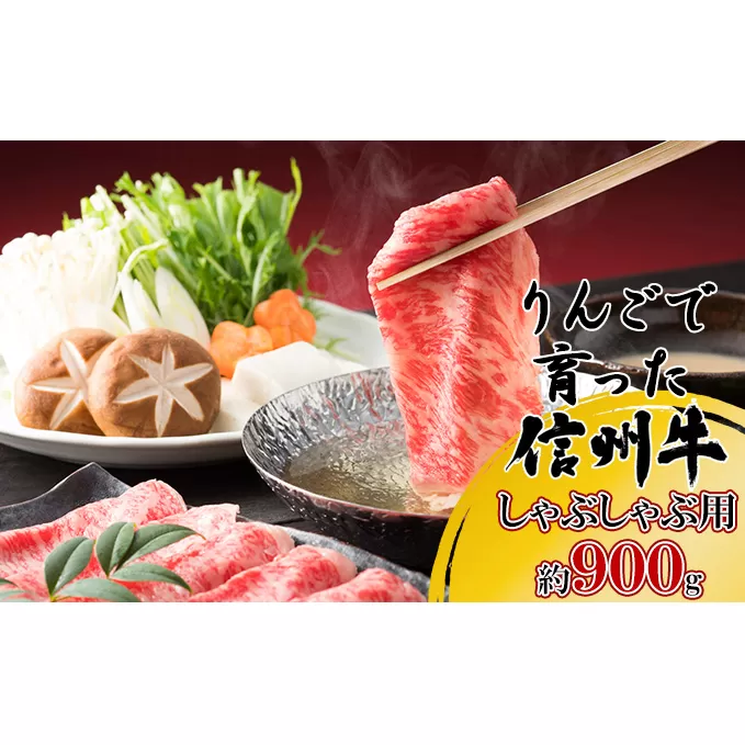 【りんごで育った信州牛】しゃぶしゃぶ用約900g入り 【 牛肉 信州牛 しゃぶしゃぶ 黒毛和牛 A5 肉 お肉 牛 和牛すき焼き すきやき すき焼 焼肉 焼き肉 BBQ バーベキュー ギフト A5等級 冷蔵 長野県 長野 】