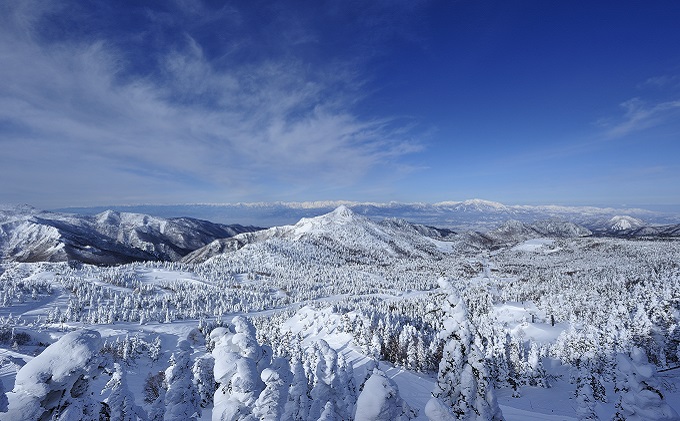 信越自然郷スーパーバリューチケット 共通リフト券(5枚綴り券)｜山ノ内町｜長野県｜返礼品をさがす｜まいふる by AEON CARD