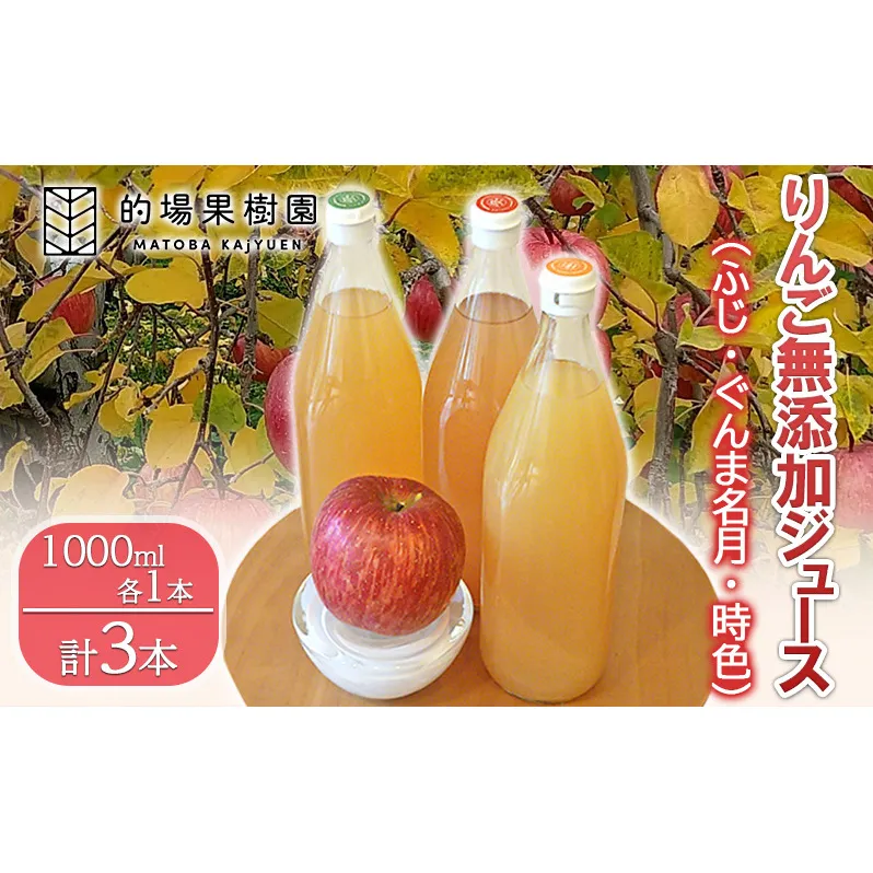 りんご無添加ジュース（ふじ・ぐんま名月・時色）1000ml×各1本計3本