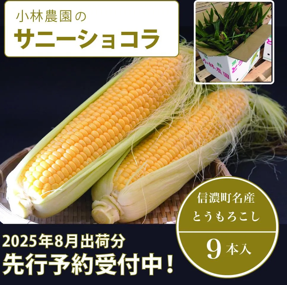  小林農園の信濃町産スイートコーン「サニーショコラ（9本セット）」令和7年8月上旬～出荷予定【2025年夏のご予約受付開始！】 生産者直送とうもろこし【長野県信濃町ふるさと納税】