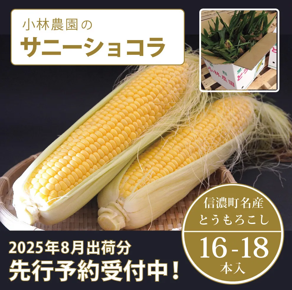  小林農園の信濃町産スイートコーン「サニーショコラ（16～18本セット）」令和7年8月上旬～出荷予定【2025年夏のご予約受付開始！】生産者直送とうもろこし【長野県信濃町ふるさと納税】　