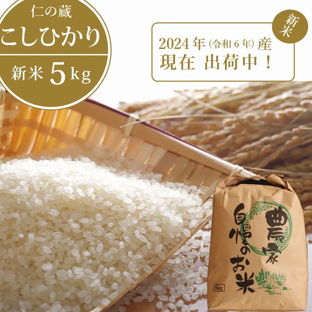 【現在出荷中】2024年産の新米！ 仁の蔵の「信濃町産 こしひかり５kg」 名水弘法清水が湧き出る黒姫山麓で育った自慢のお米です！ 【長野県信濃町ふるさと納税】
