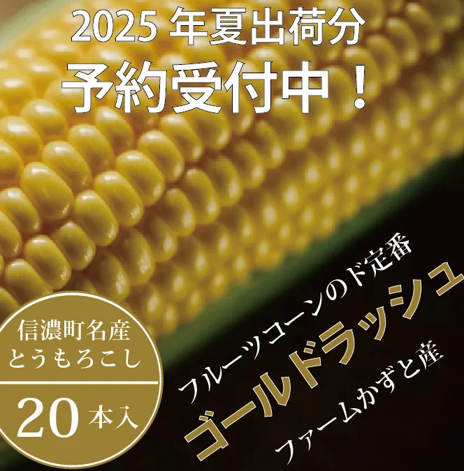 信濃町名産とうもろこし『ファームかずとのゴールドラッシュ 20本セット』【2025年夏出荷分・先行予約受付開始！】生産者直送 令和7年8月〜順次出荷【長野県信濃町ふるさと納税】　