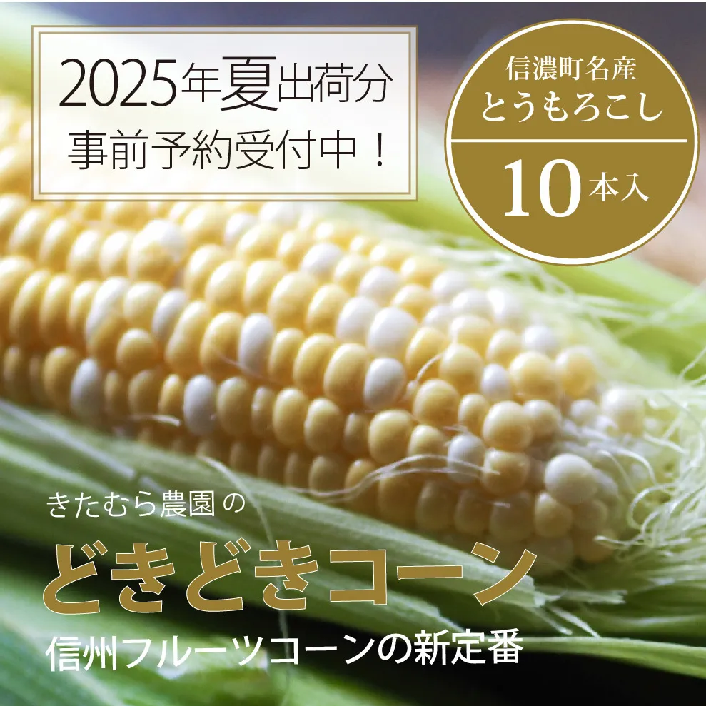 きたむら農園『どきどきコーン』×10本セット（約4～4.2kg相当）2025年夏分のご予約受付開始！　信濃町名産とうもろこし／スイートコーンの定番品種、予約受付中！ 令和7年7月下旬～8月下旬に随時出荷 先行予約【長野県信濃町ふるさと納税】