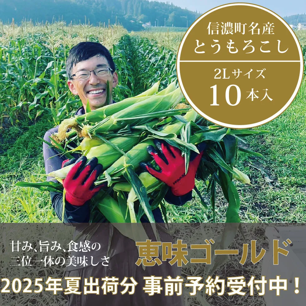 信濃町名産とうもろこし『落影農場の恵味（めぐみ） 10本セット』／スイートコーンの人気品種を早期予約限定で受付中！ 【2025年夏のご予約受付開始！】 令和7年7月下旬〜出荷予定 2025年夏出荷分 先行予約【長野県信濃町ふるさと納税】