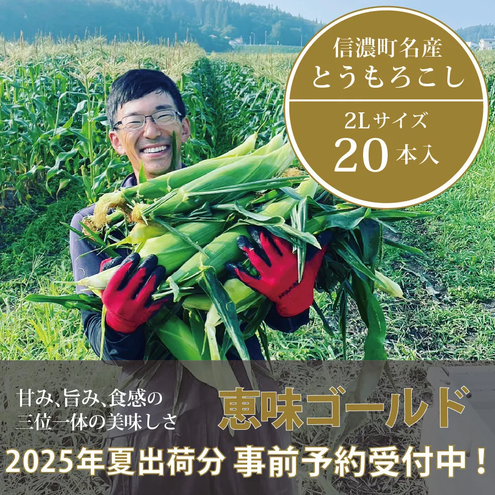 信濃町名産とうもろこし『落影農場の恵味（めぐみ） 20本セット』／スイートコーンの人気品種を早期予約限定で受付中！ 【2025年夏のご予約受付開始！】 令和7年7月下旬〜出荷予定 2025年夏出荷分 先行予約【長野県信濃町ふるさと納税】