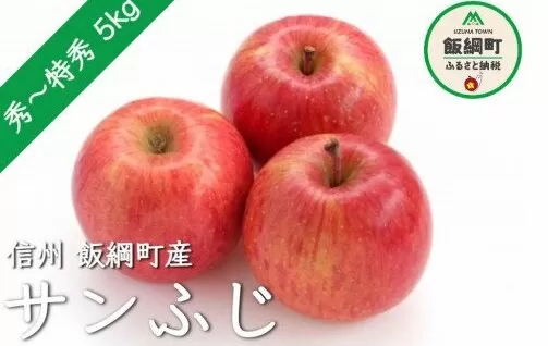 りんご サンふじ 秀～特秀 約5kg 【令和4年度収穫分】 ※沖縄および離島への配送不可 ※2022年12月上旬頃から順次発送予定 樋口果樹園 長野県飯綱町 [0010]