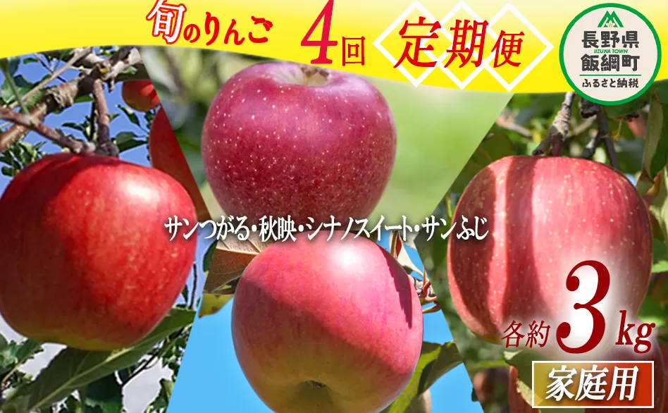 旬のりんご 【 定期便 】 家庭用 3kg × 4回 丸山りんご園 沖縄県への配送不可 2024年9月上旬頃から2024年12月中旬頃まで順次発送予定 令和6年度収穫分 信州 果物 フルーツ リンゴ 林檎 長野 44000円 予約 農家直送 長野県 飯綱町 [0709]