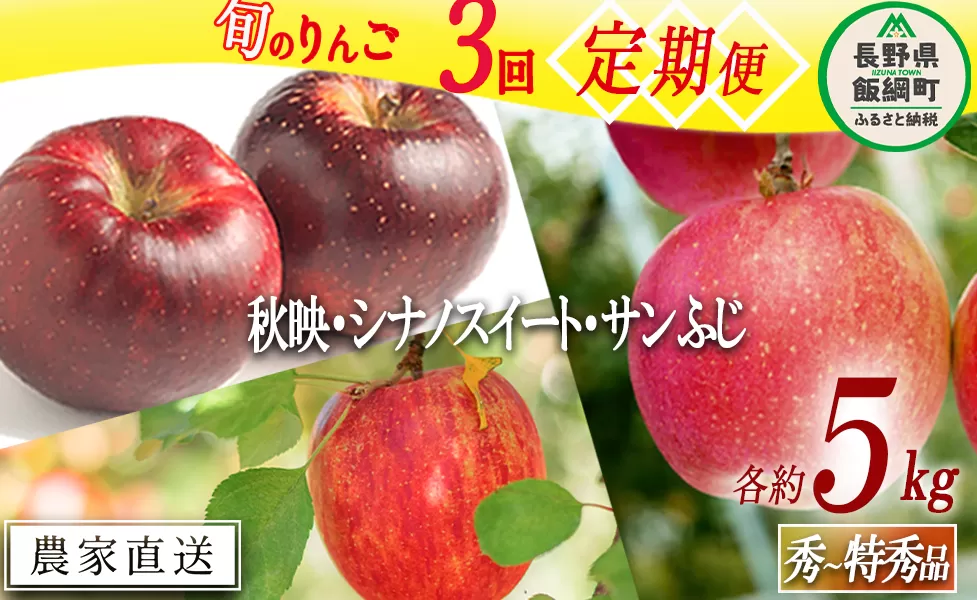 旬のりんご 【 定期便 】 秀 ～ 特秀 5kg × 3回 渡辺農園 沖縄県への配送不可 2024年10月上旬頃から2024年12月中旬頃まで順次発送予定 令和6年度収穫分 エコファーマー認定 減農薬栽培 長野県 飯綱町 [0805]