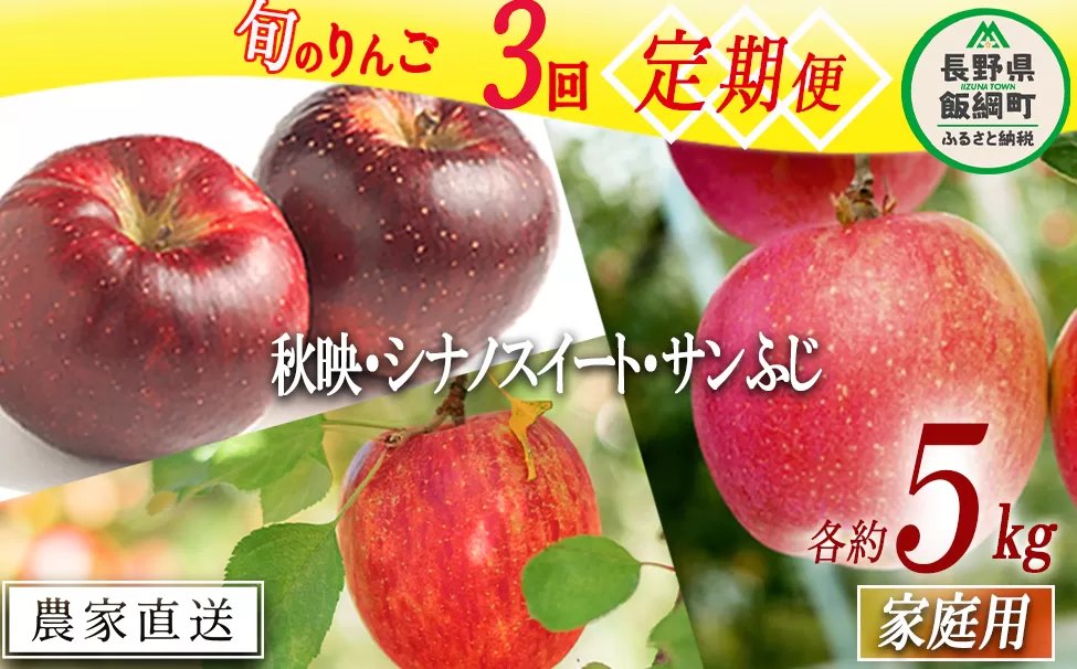 旬のりんご 【 定期便 】 家庭用 5kg × 3回 渡辺農園 沖縄県への配送不可 2024年10月上旬頃から2024年12月中旬頃まで順次発送予定 令和6年度収穫分 エコファーマー認定 減農薬栽培 長野県 飯綱町 [1375]