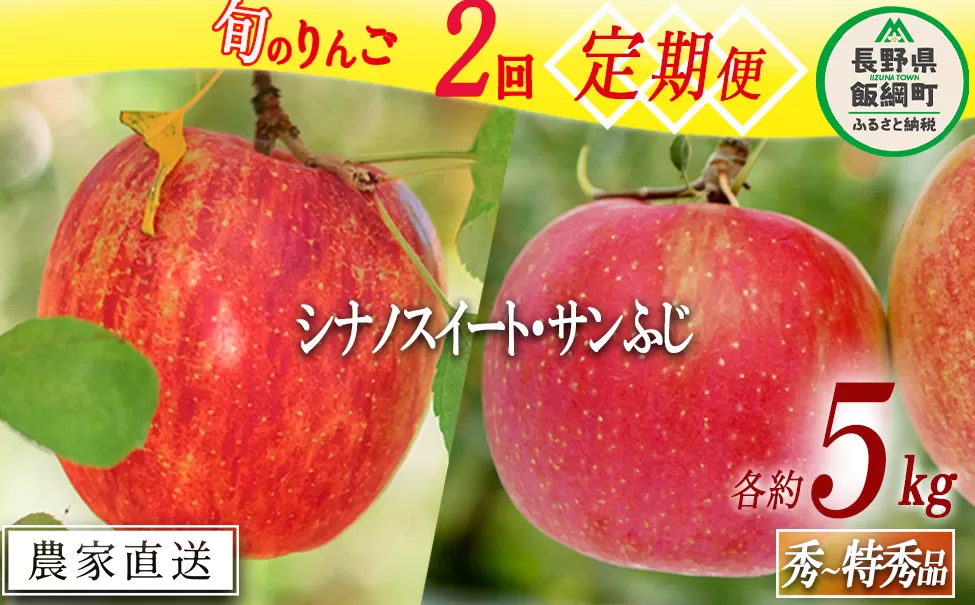 旬のりんご 【 定期便 】 秀 ～ 特秀 5kg × 2回 渡辺農園 沖縄県への配送不可 2024年10月中旬頃から2024年12月中旬頃まで順次発送予定 令和6年度収穫分 エコファーマー認定 減農薬栽培 長野県 飯綱町 [1147]