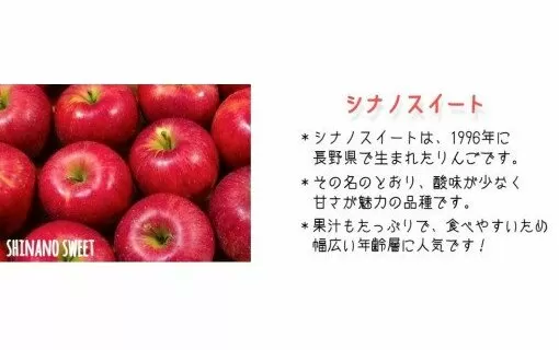 りんご シナノスイート  秀特秀 10kg 丸茂ファーム 2024年10月中旬頃から2024年11月下旬頃まで順次発送予定 エコファーマー認定 信州の環境にやさしい農産物認証 令和6年度収穫分 フルーツ リンゴ 林檎 農家直送 予約 25500円 長野県 飯綱町 [1196]