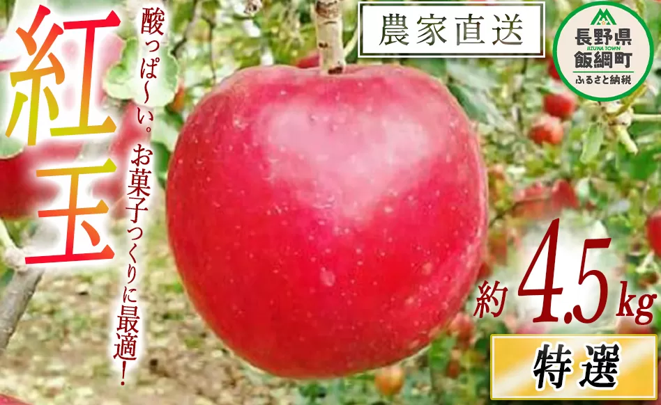 りんご 紅玉 特選 4.5kg やまじゅうファーム 沖縄県への配送不可 2024年10月上旬頃から2024年10月中旬頃まで順次発送予定 令和6年度収穫分 信州の環境にやさしい農産物 減農薬栽培 長野県 飯綱町 [0516]