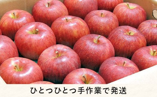 りんご ムーンルージュ 特選 3kg やまじゅうファーム 沖縄県への配送不可 2024年10月下旬頃から2024年11月上旬頃まで順次発送予定  令和6年度収穫分 信州の環境にやさしい農産物 減農薬栽培 長野県 飯綱町 [1026]｜飯綱町｜長野県｜返礼品をさがす｜まいふる by AEON  CARD