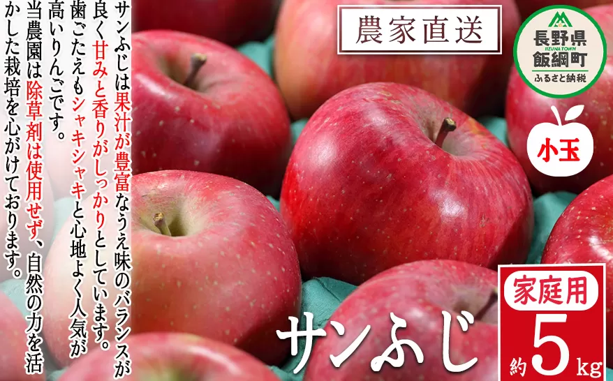 りんご サンふじ ( 小玉 ) 家庭用 5kg 松澤農園 沖縄県への配送不可 2024年11月下旬頃から2025年2月上旬頃まで順次発送予定 令和6年度収穫分 長野県 飯綱町 [0717]