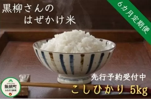 [0281]【令和6年度収穫分】こしひかり 5kg×6回【6カ月定期便】 ※沖縄県への配送不可　※2024年11月上旬頃から順次発送予定　黒柳さんのはぜかけ米　長野県飯綱町