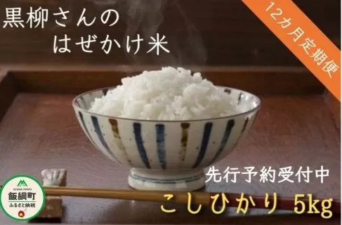 [0647]【令和6年度収穫分】こしひかり 5kg×12回【12カ月定期便】 ※沖縄および離島への配送不可　※2024年11月上旬頃から順次発送予定　黒柳さんのはぜかけ米　長野県飯綱町