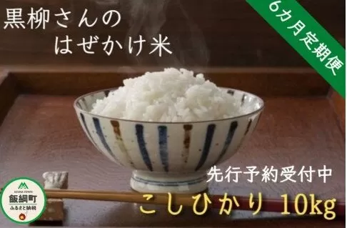 【令和6年度収穫分】こしひかり 10kg×6回【6カ月定期便】 ※沖縄県への配送不可　※2024年11月上旬頃から順次発送予定　黒柳さんのはぜかけ米　長野県飯綱町[1413]