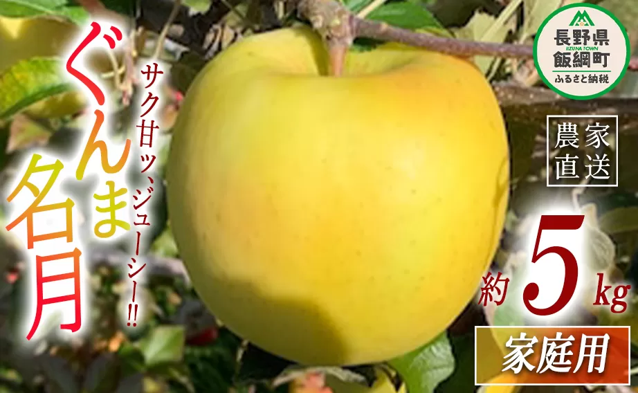 りんご ぐんま名月 家庭用 5kg ファームトヤ 沖縄県への配送不可 2024年11月中旬頃から2024年12月下旬頃まで順次発送予定 令和6年度収穫分 信州 果物 フルーツ リンゴ 林檎 名月 長野 14500円 予約 農家直送 長野県 飯綱町 [1424]