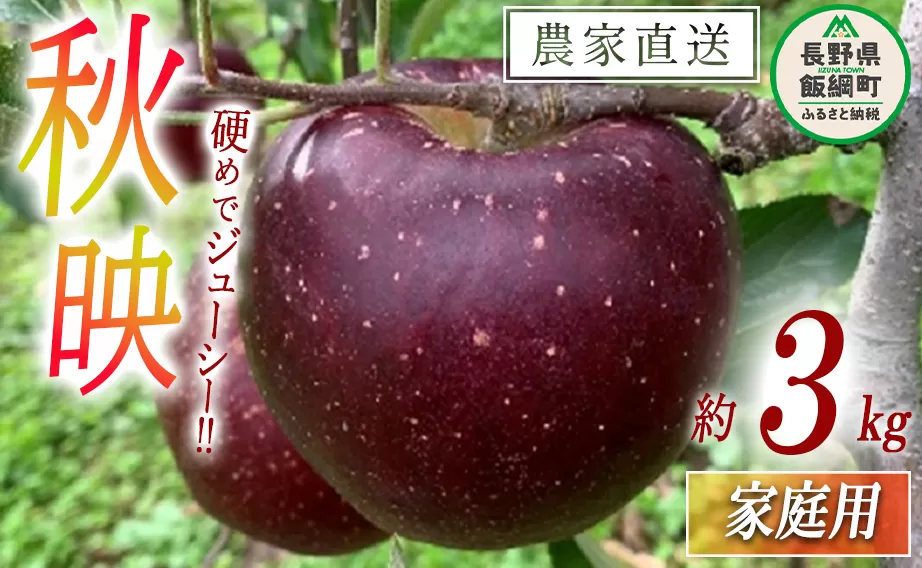 りんご 秋映 家庭用 3kg ファームトヤ 沖縄県への配送不可 2024年10月上旬頃から2024年10月下旬頃まで順次発送予定 令和6年度収穫分 信州 果物 フルーツ リンゴ 林檎 あきばえ 秋映え りんご3兄弟 長野 10500円 予約 農家直送 長野県 飯綱町 [1419]