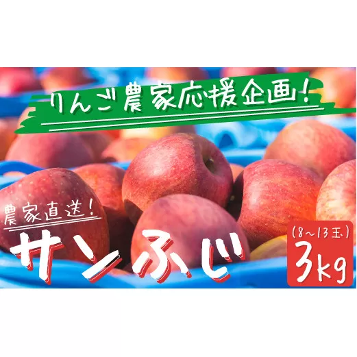 【農家応援企画】 りんご サンふじ ３Kg 訳あり ～ 家庭用《 ふじ リンゴ 林檎 訳アリ わけあり 不揃い 果物 くだもの フルーツ 長野県産 長野 お試し 9000円 》令和6年収穫分 2024年11月下旬 から順次発送予定 長野県 飯綱町 [0566]