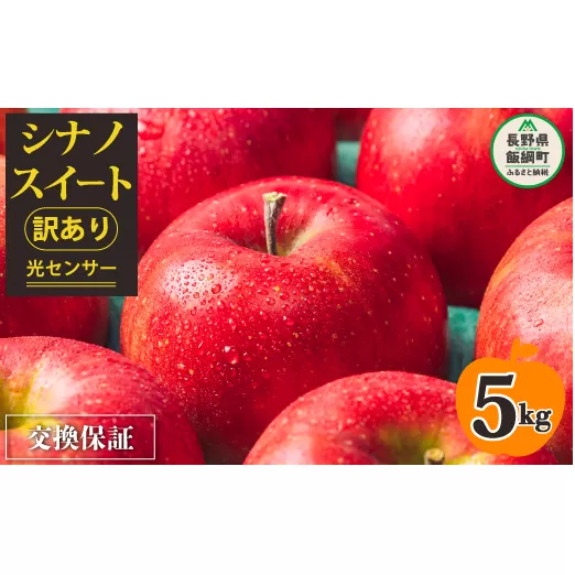 りんご ５Kg 【令和６年度先行予約】 果物 訳あり シナノスイート 長野県 感謝りんご 交換保証 規格外 傷あり ５キロ (１２から２５玉)  R6年10月頃から順次発送  飯綱町 [1205]