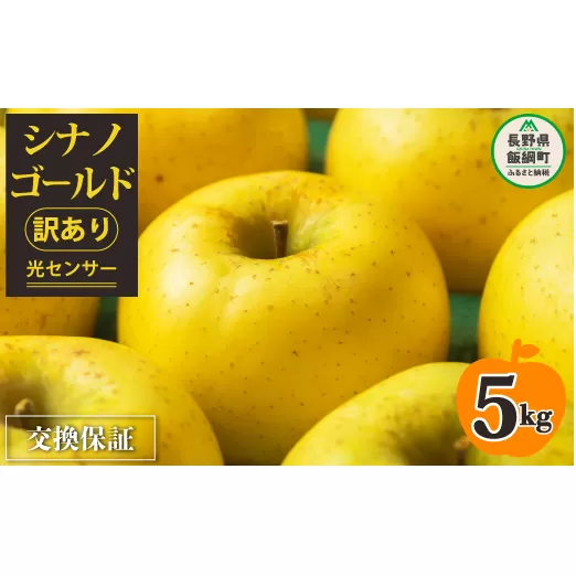 りんご 5kg 【令和６年度先行予約】 果物 シナノゴールド 訳あり 長野県 感謝りんご 交換保証 規格外 傷あり ５キロ (１２から２５玉) R6年11月頃から順次発送  飯綱町[1208]