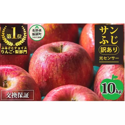 りんご 10kg 【令和6年度先行予約】 果物 サンふじ 訳あり 感謝りんご 交換保証 規格外 家庭用 傷あり 10キロ (24から50玉)  R6年12月R7年1月末 順次発送 長野県 飯綱町 [1212]