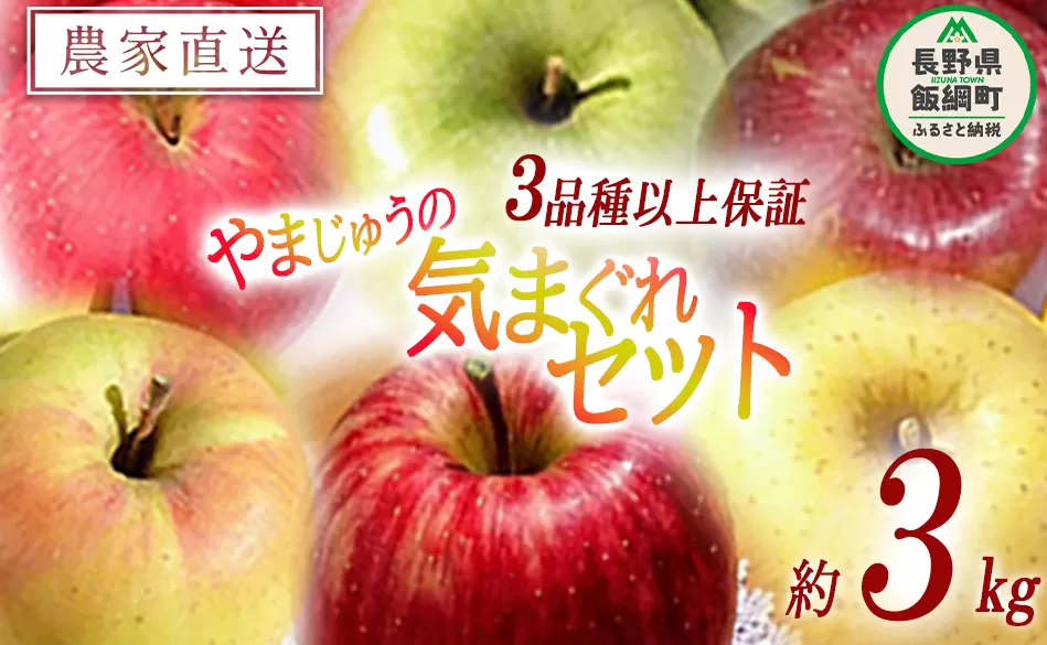 りんご 3品種以上保証 気まぐれセット 3kg 詰め合わせ セット やまじゅうファーム 沖縄県への配送不可 2024年11月中旬頃から2024年12月下旬頃まで順次発送予定 令和6年度収穫分 信州の環境にやさしい農産物 減農薬栽培 長野県 飯綱町 [1538]