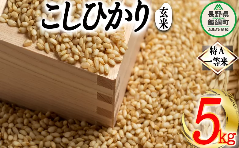 玄米 コシヒカリ 5kg 特A 沖縄県への配送不可 ふるさと振興公社 お米 こしひかり 信州 長野県 飯綱町 [1559]