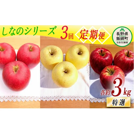 【 定期便 】シナノシリーズ  特選 3kg × 3回 やまじゅうファーム 沖縄県への配送不可 2025年9月下旬頃から2025年11月下旬頃まで順次発送予定 令和7年度収穫分 信州の環境にやさしい農産物 減農薬栽培 長野県 飯綱町 [1800]
