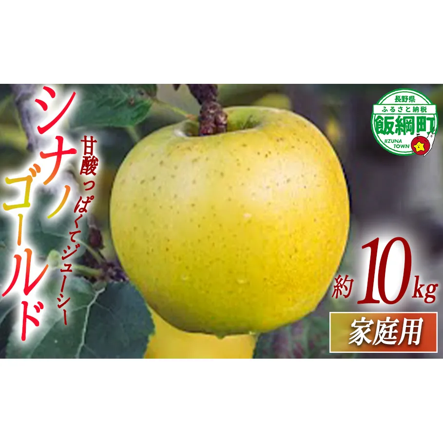 りんご シナノゴールド 家庭用 10kg 相澤農園 2025年11月上旬頃から2026年2月上旬頃まで順次発送予定 令和7年度収穫分 長野県 飯綱町 [1854]