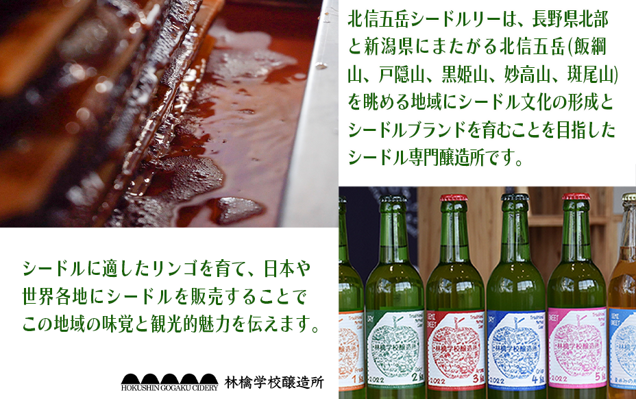 お酒 林檎学校醸造所 【辛口】トリプル・ジャック 500ml Alc.22% 氷結濃縮林檎酒 無発泡 北信五岳シードルリー 長野県 飯綱町  [1876]｜飯綱町｜長野県｜返礼品をさがす｜まいふる by AEON CARD