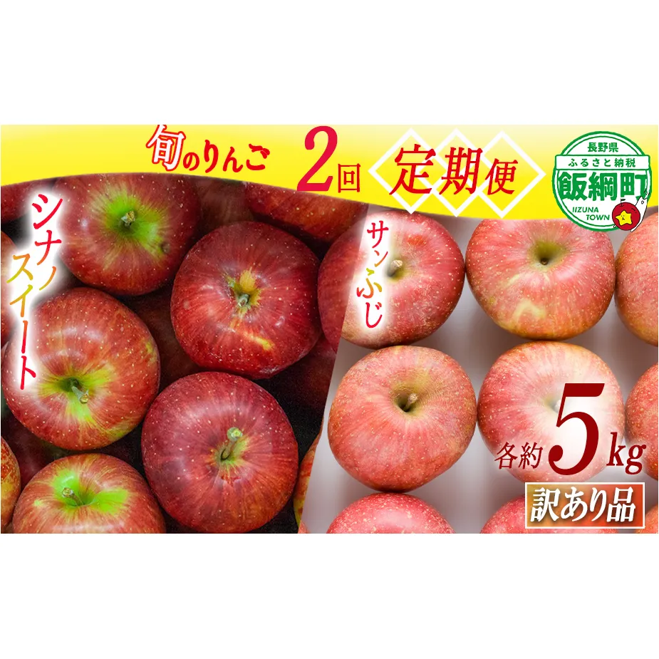 季節のりんご 【定期便】 旬の2品種（シナノスイート・サンふじ） 5kg × 2回 訳あり ながの農業協同組合 沖縄へは配送不可  2024年10月中旬から発送予定 長野県 飯綱町 [1886]