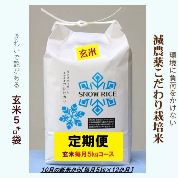 【定期便】令和5年産減農薬コシヒカリ「SNOW RICE」玄米＜毎月5kg×12か月＞