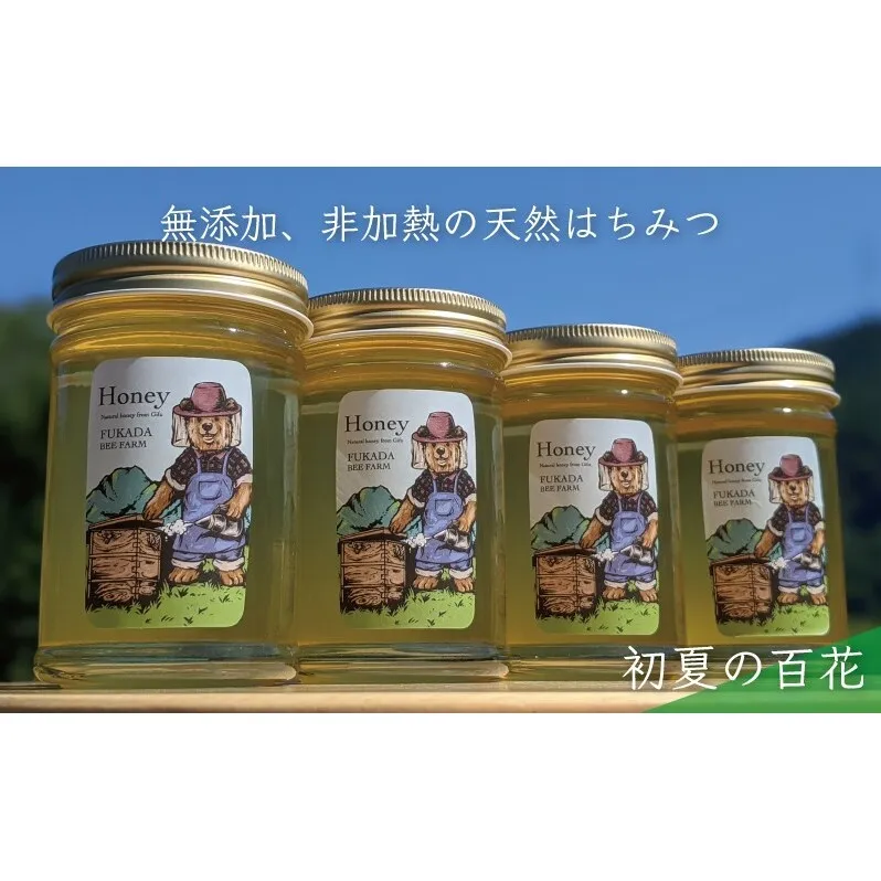 合計920g 天然蜂蜜 国産蜂蜜 非加熱 生はちみつ 岐阜県 美濃市産 初夏  (蜂蜜230g入りガラス瓶4本)B4