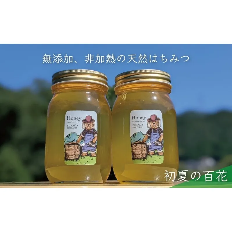 合計1200g 天然蜂蜜 国産蜂蜜 非加熱 生はちみつ 岐阜県 美濃市産 初夏  (蜂蜜600g入りガラス瓶2本セット)B6