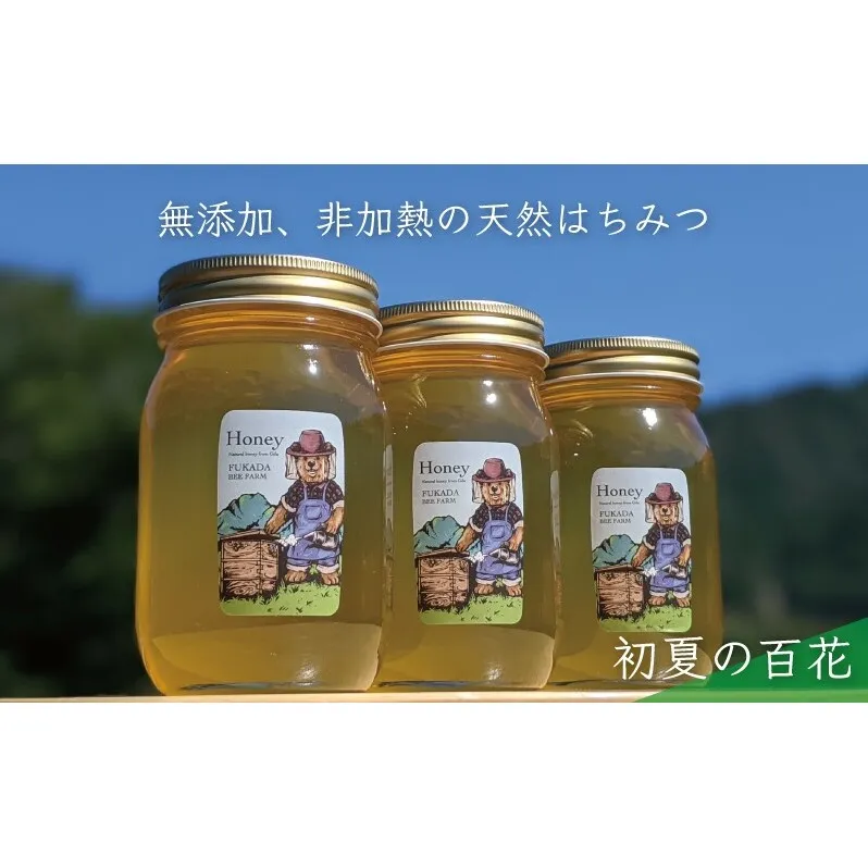合計1800g 天然蜂蜜 国産蜂蜜 非加熱 生はちみつ 岐阜県 美濃市産 初夏 (蜂蜜600g入りガラス瓶3本セット)B7