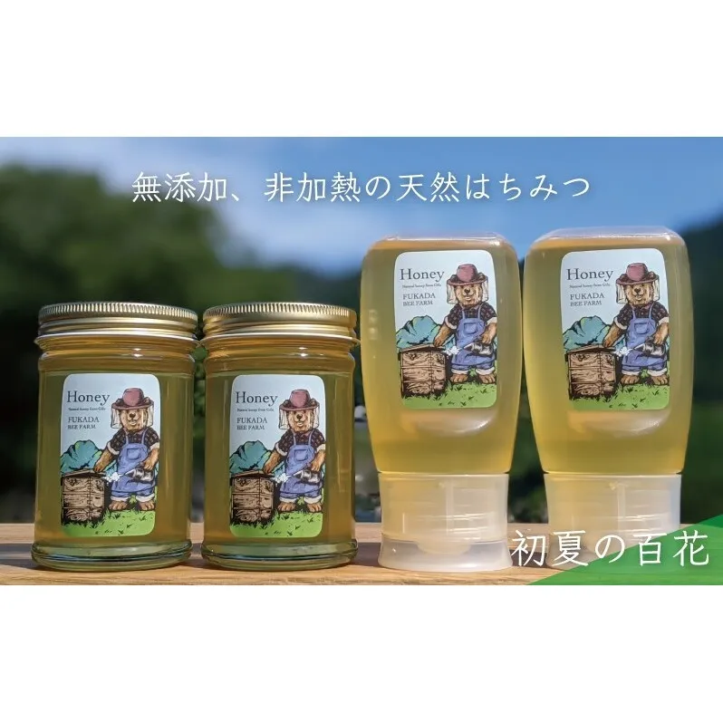 合計1060g 天然蜂蜜 国産蜂蜜 非加熱 生はちみつ 岐阜県 美濃市産 初夏 (蜂蜜230g入りガラス瓶2本、蜂蜜300g入りピタッとボトル2本のセット)B14