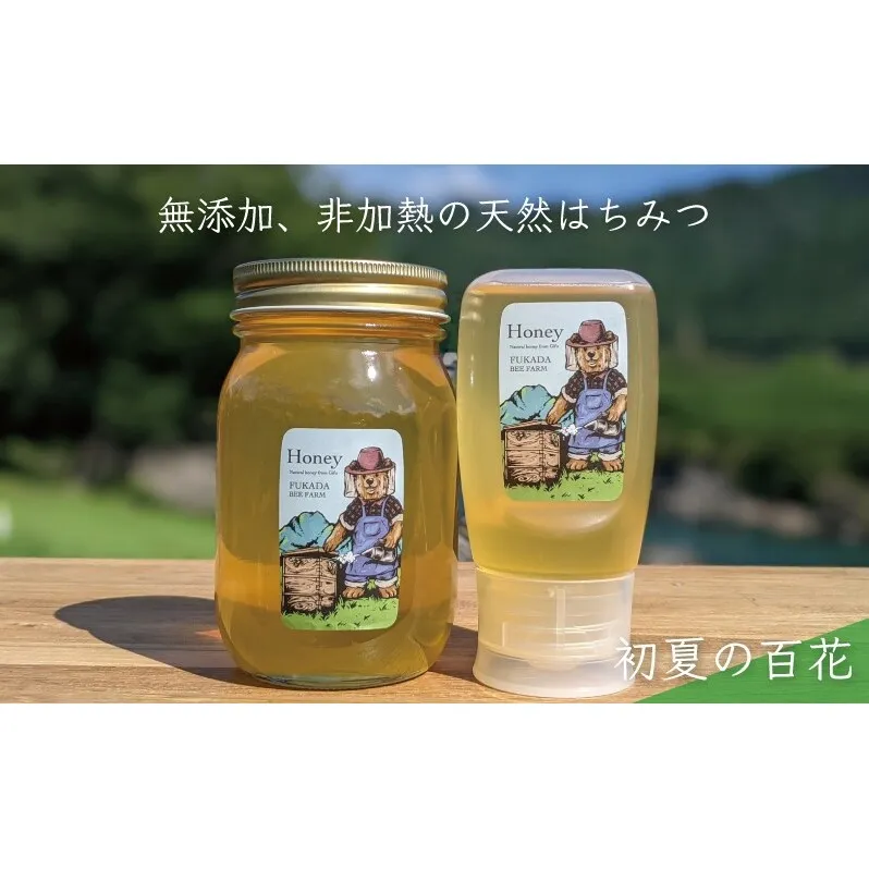 合計900g 天然蜂蜜 国産蜂蜜 非加熱 生はちみつ 岐阜県 美濃市産 初夏 (蜂蜜600g入りガラス瓶1本、蜂蜜300g入りピタッとボトル1本のセット)B15
