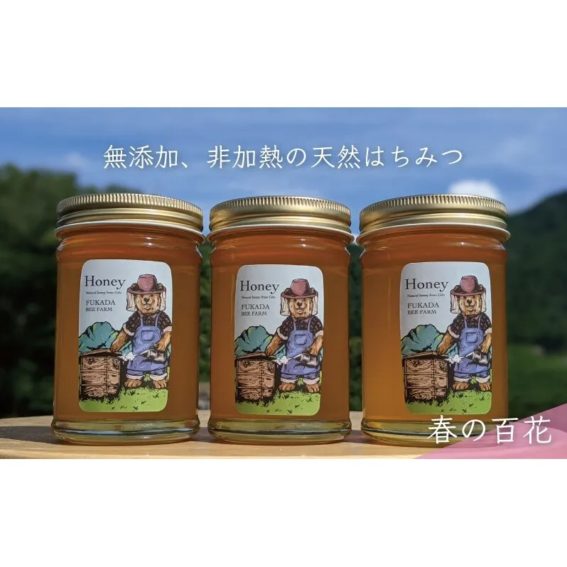 合計690g 天然蜂蜜 国産蜂蜜 非加熱 生はちみつ 岐阜県 美濃市産 春 (蜂蜜230g入りガラス瓶3本セット)A3