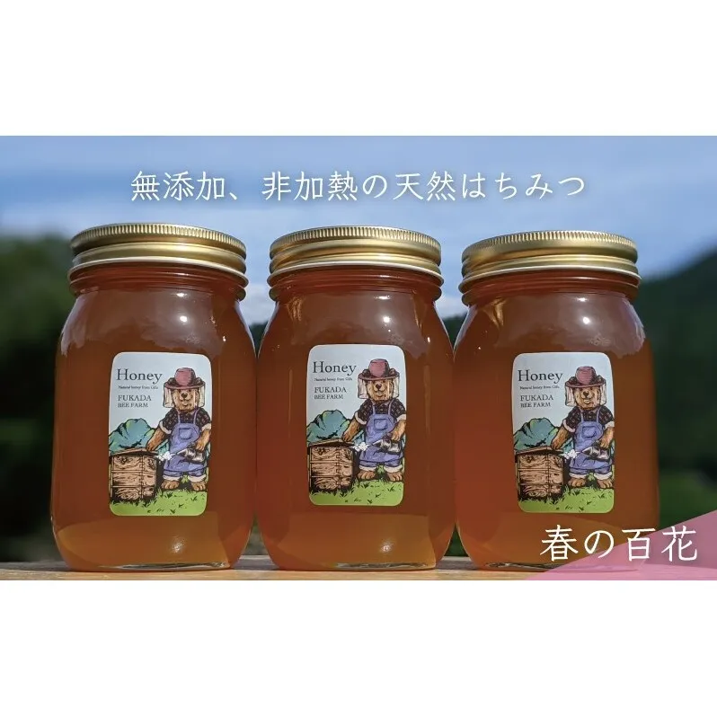 合計1800g 天然蜂蜜 国産蜂蜜 非加熱 生はちみつ 岐阜県 美濃市産 春 (蜂蜜600g入りガラス瓶3本セット)A7
