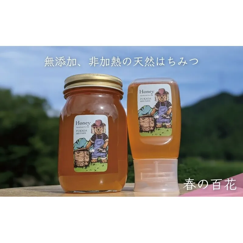 合計900g 天然蜂蜜 国産蜂蜜 非加熱 生はちみつ 岐阜県 美濃市産 春 (蜂蜜600g入りガラス瓶1本,蜂蜜300g入りピタッとボトル1本のセット)A15