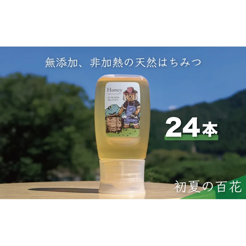 合計7200g 天然蜂蜜 国産蜂蜜 非加熱 生はちみつ 岐阜県 美濃市産 初夏 (蜂蜜300g入りピタッとボトル24本セット) B19