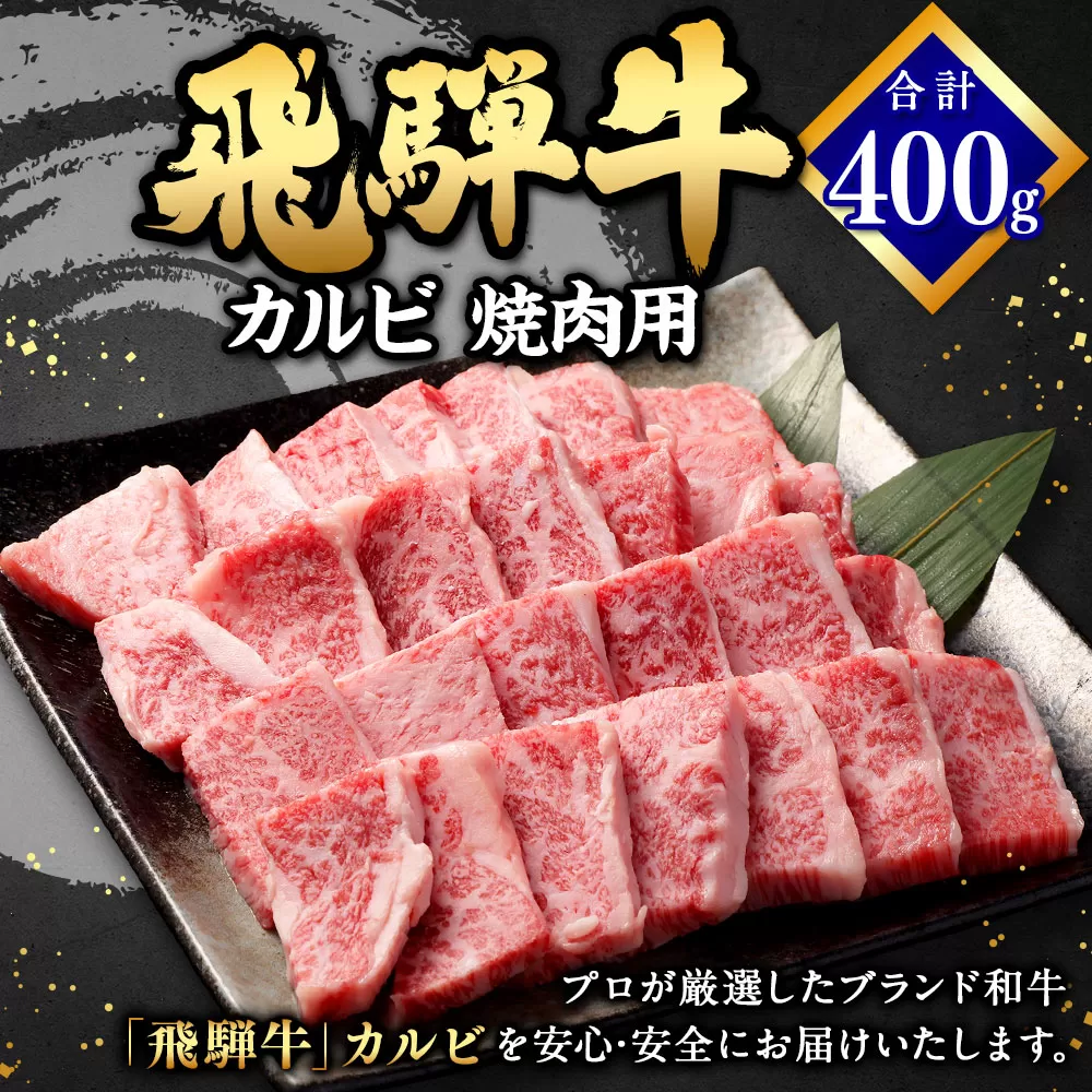 飛騨牛 カルビ 焼肉用 400g | 肉のかた山 牛肉 肉 お肉 和牛 黒毛和牛 国産 焼肉 冷凍 M16S31