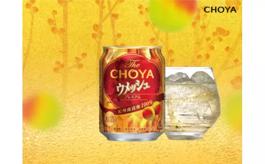 620 The CHOYA ウメッシュ缶 250ML×24本