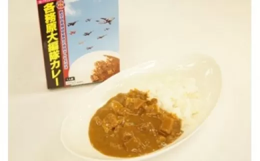 26 各務原大編隊カレー １０箱セット