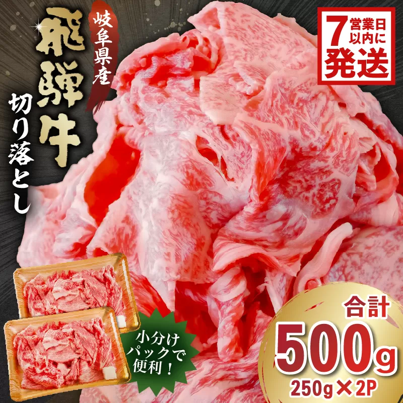 【7営業日以内発送】飛騨牛切り落とし500g（250g×2）　0016-017